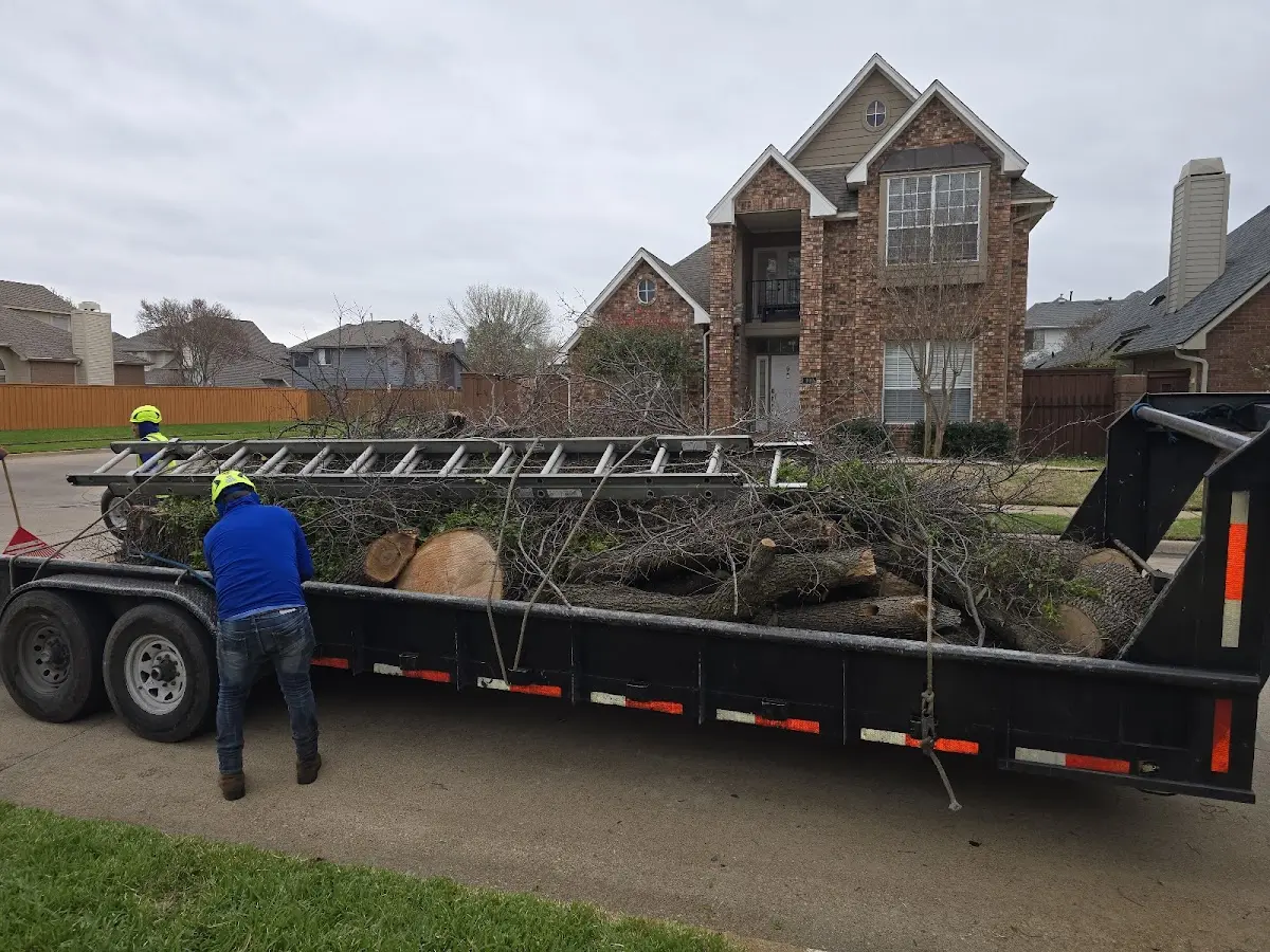 Expert Crown Reduction with proper safety equipment in Howland